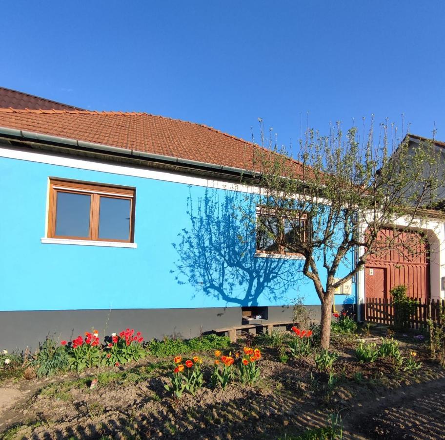 Blue Home Avrig Exterior foto